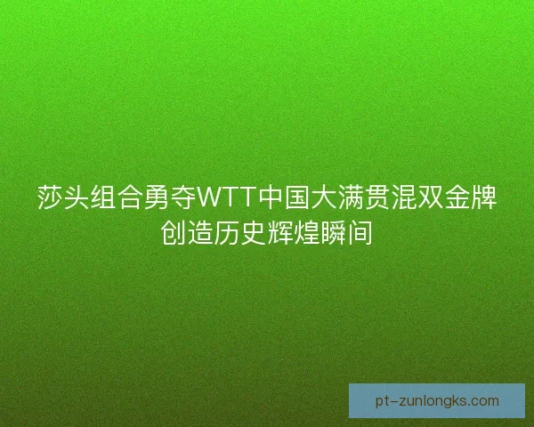 莎头组合勇夺WTT中国大满贯混双金牌创造历史辉煌瞬间