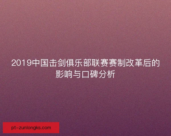 2019中国击剑俱乐部联赛赛制改革后的影响与口碑分析