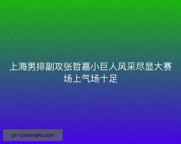 上海男排副攻张哲嘉小巨人风采尽显大赛场上气场十足