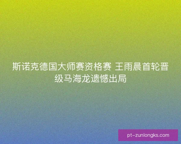 斯诺克德国大师赛资格赛 王雨晨首轮晋级马海龙遗憾出局
