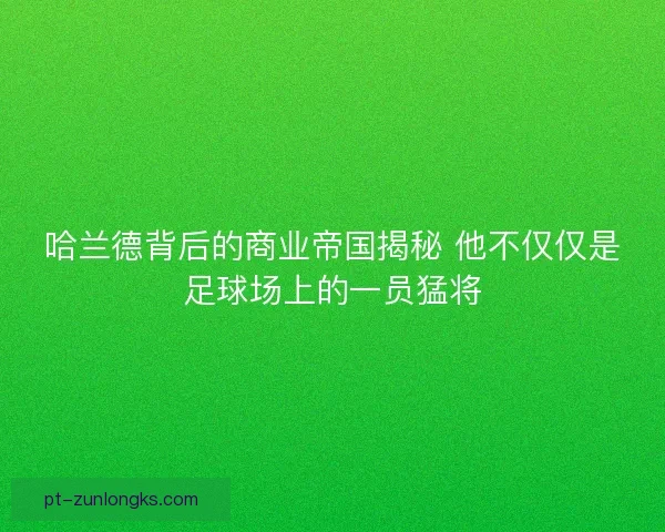 哈兰德背后的商业帝国揭秘 他不仅仅是足球场上的一员猛将